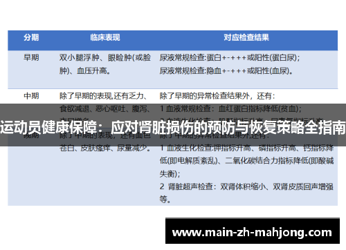 运动员健康保障：应对肾脏损伤的预防与恢复策略全指南
