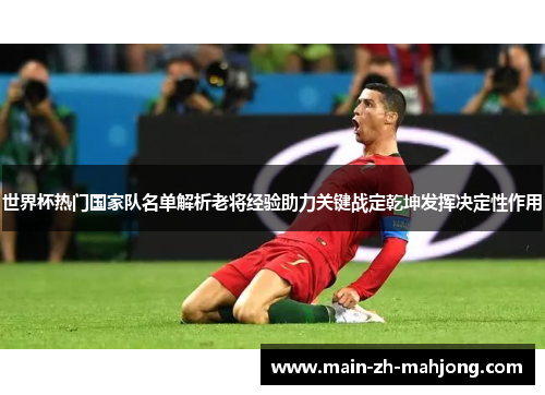 世界杯热门国家队名单解析老将经验助力关键战定乾坤发挥决定性作用